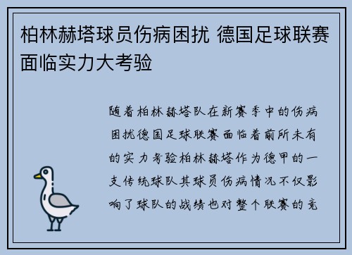 柏林赫塔球员伤病困扰 德国足球联赛面临实力大考验
