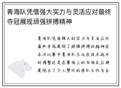 青海队凭借强大实力与灵活应对最终夺冠展现顽强拼搏精神