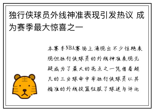 独行侠球员外线神准表现引发热议 成为赛季最大惊喜之一